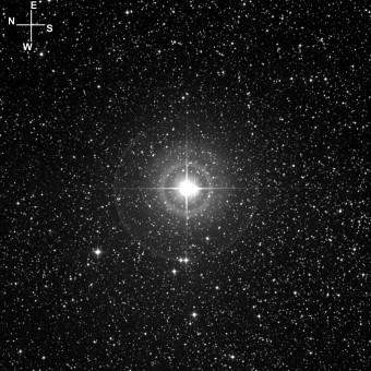La stella Delta Cephei. Crediti: STScI