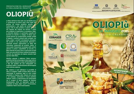 Reggio Calabria – Parte dalla Calabria la rivoluzione eco-compatibile della filiera olivicola.