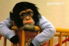 MONOTONIA O CERTEZZE? BORED OR SELF-CONSCIOUS? MONOTONIA O CERTEZZE? BORED OR SELF-CONSCIOUS?