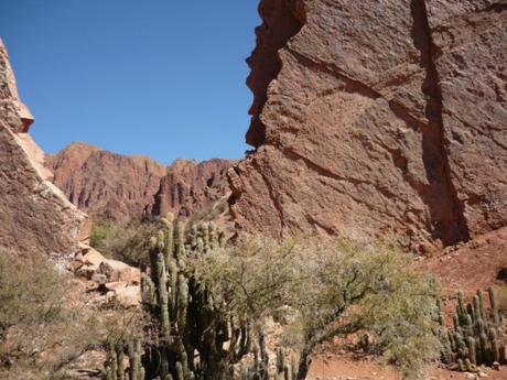 Tupiza, il far west boliviano