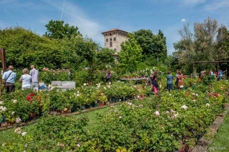 Giardinaria: Tante novità e spettacolari fioriture per il festival del giardino