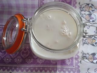 KEFIR DI LATTE