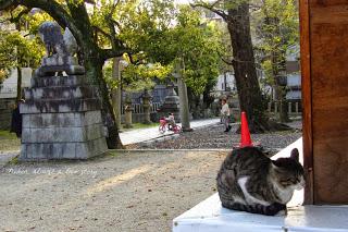 Fujinomori jinja