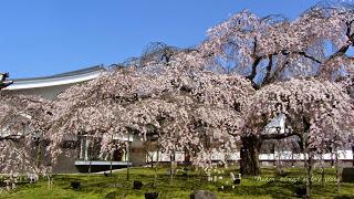 Daigoji