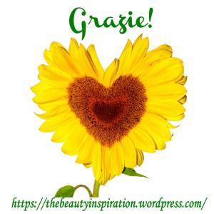 girasole-a-forma-di-cuore