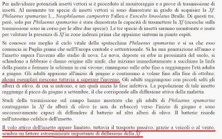 Philaenus spumarius osservazioni della presenza su olivo in San Cesario di Lecce e Lequile del 16 maggio 2015.