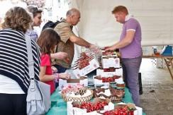 sagra-ciliegia-turi-21 Sagra della Ciliegia Ferrovia di Turi