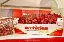 sagra-ciliegia-turi-3 Sagra della Ciliegia Ferrovia di Turi