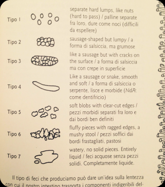 L'intestino felice 2