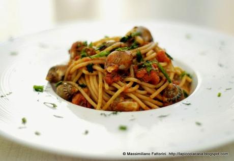 Spaghetti alle lumachine di mare, maruzzelle, e finocchietto selvatico