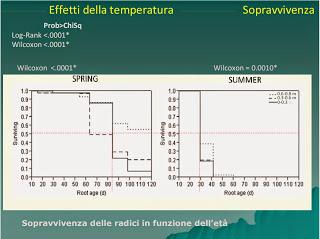 Stagionalità nello sviluppo delle radici di olivo