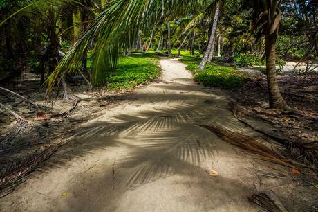 Parque Tayrona, San Gil e disavvenure da bus