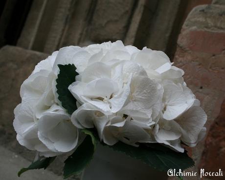 Fiori di stagione: fine primavera, inizio estate