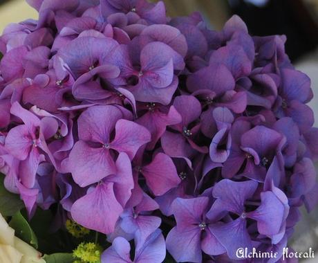 Fiori di stagione: fine primavera, inizio estate