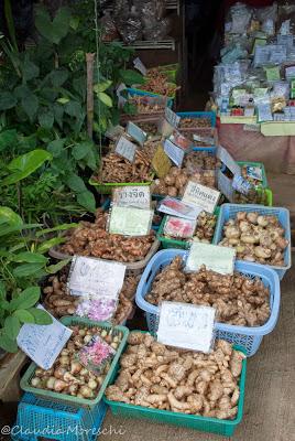 Tappa a Chiang Dao, Thailandia del nord