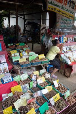 Tappa a Chiang Dao, Thailandia del nord