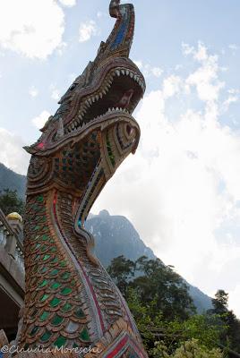 Tappa a Chiang Dao, Thailandia del nord