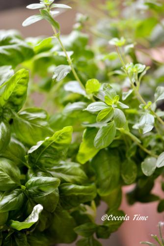 Spaghetti che fanno bene al cuore… pomo 8