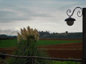 Chianti mon amour: un tour in vespa per le colline toscane