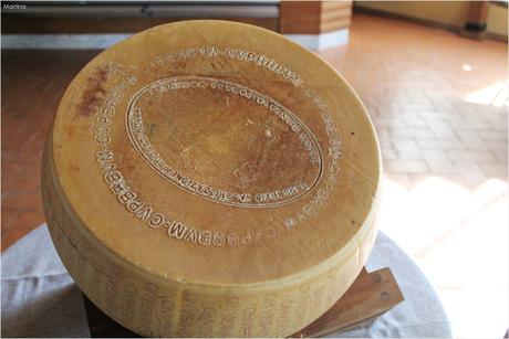 Modena e sapori: lì dove nasce il Parmigiano Reggiano DOP.