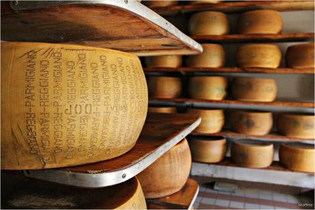 Modena e sapori: lì dove nasce il Parmigiano Reggiano DOP.