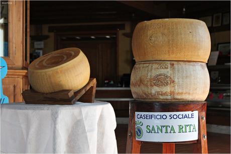 Modena e sapori: lì dove nasce il Parmigiano Reggiano DOP.