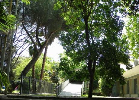 Sassari Abbattimento di un pino ai giardini pubblici