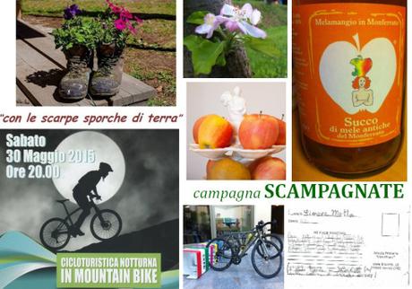 collage 30-31 maggio