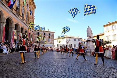 la festa della madonna del fiore