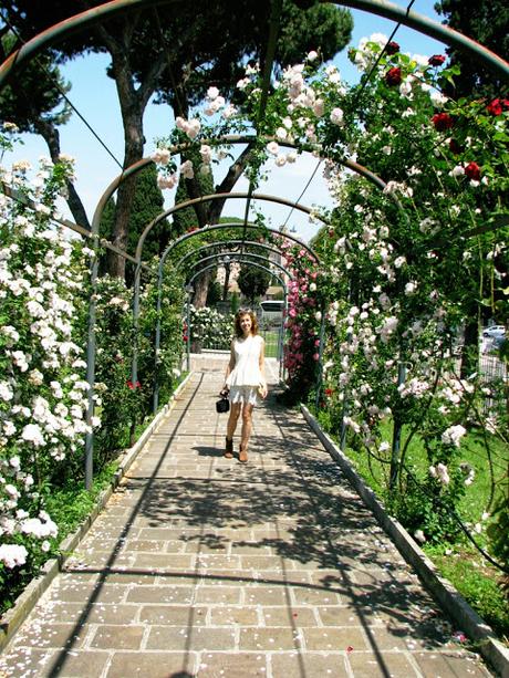 OOTD: white lace and rose garden