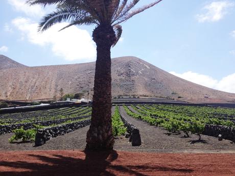 LANZAROTE: la vida es bella.