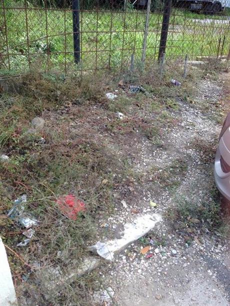 Zona Battistini dopo l'incidente. Chi è che abita davvero in un campo rom, gli zingari o i romani? Zona Battistini dopo l'incidente. Chi è che abita davvero in un campo rom, gli zingari o i romani?