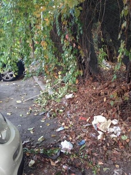 Zona Battistini dopo l'incidente. Chi è che abita davvero in un campo rom, gli zingari o i romani? Zona Battistini dopo l'incidente. Chi è che abita davvero in un campo rom, gli zingari o i romani?