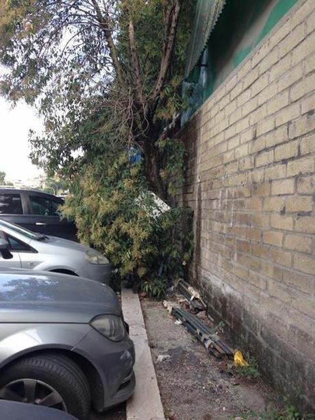 Zona Battistini dopo l'incidente. Chi è che abita davvero in un campo rom, gli zingari o i romani? Zona Battistini dopo l'incidente. Chi è che abita davvero in un campo rom, gli zingari o i romani?