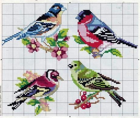Uccellini a punto croce / Cross stitch birds