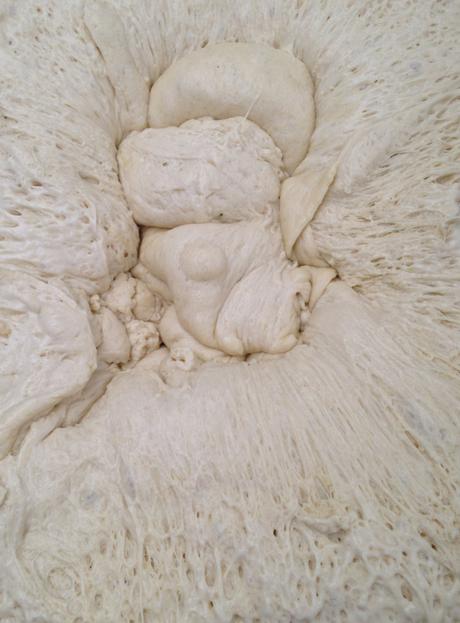 Pane al Pane… IMG_4125