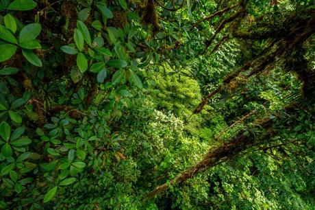 Costa Rica, consigli per un amico