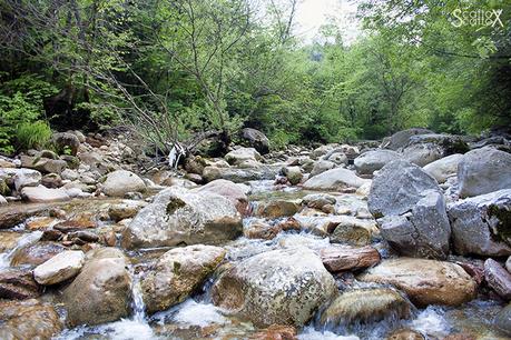 Il canyon dei Brent de l'Art: il meraviglioso lavoro dell'acqua in Valbelluna