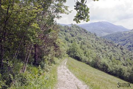 Il canyon dei Brent de l'Art: il meraviglioso lavoro dell'acqua in Valbelluna