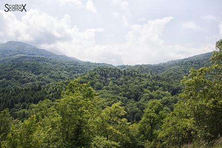 Il canyon dei Brent de l'Art: il meraviglioso lavoro dell'acqua in Valbelluna