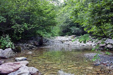 Il canyon dei Brent de l'Art: il meraviglioso lavoro dell'acqua in Valbelluna