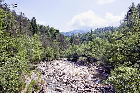 Il canyon dei Brent de l'Art: il meraviglioso lavoro dell'acqua in Valbelluna