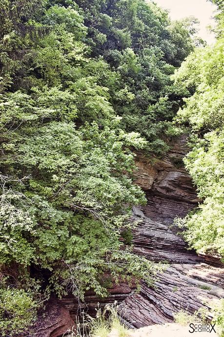 Il canyon dei Brent de l'Art: il meraviglioso lavoro dell'acqua in Valbelluna