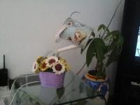 Nuova lamp-annaffiatoio a destinazione IMG-20150608-WA0003