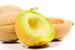 Sorbetto di melone al Porto int