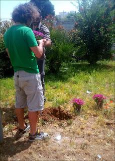 In Puglia ritorna la cultura delle piante officinali con l'associazione La Mandragora