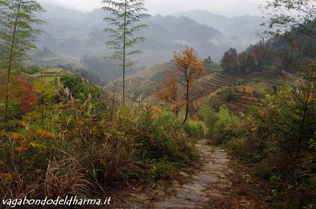 dragon backbone terraces dragon backbone terraces