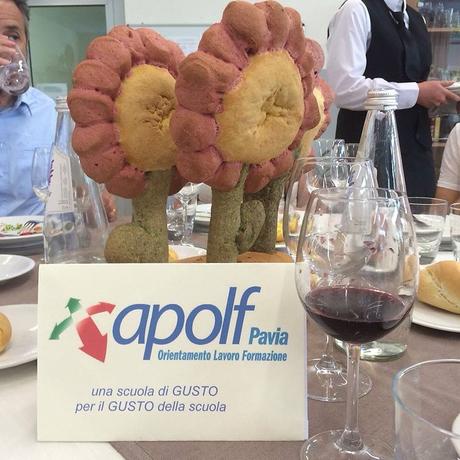 Apolf Pavia, una realtà di eccellenza Apolf Pavia, una realtà di eccellenza