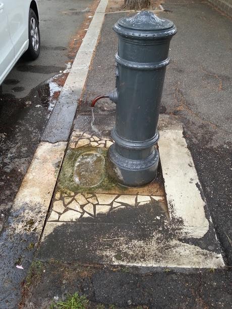 All'Ardeatino i cittadini fanno da soli. Ecco le foto del Retake al Parco Scott. Tra sporcizia, erbacce e siringhe che ti si infilano nelle scarpe