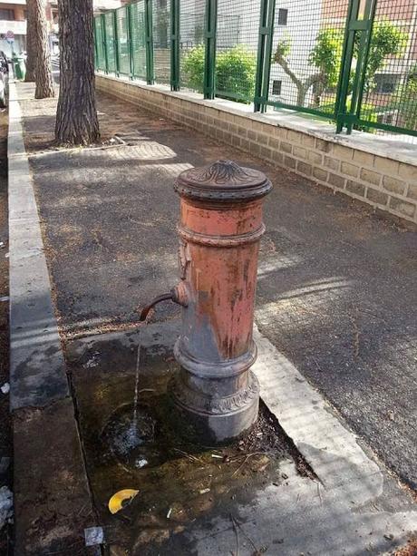 All'Ardeatino i cittadini fanno da soli. Ecco le foto del Retake al Parco Scott. Tra sporcizia, erbacce e siringhe che ti si infilano nelle scarpe